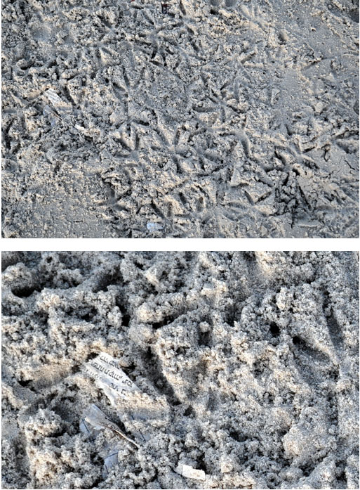 http://www.lenarevenko.com/blog/files/20.jpg